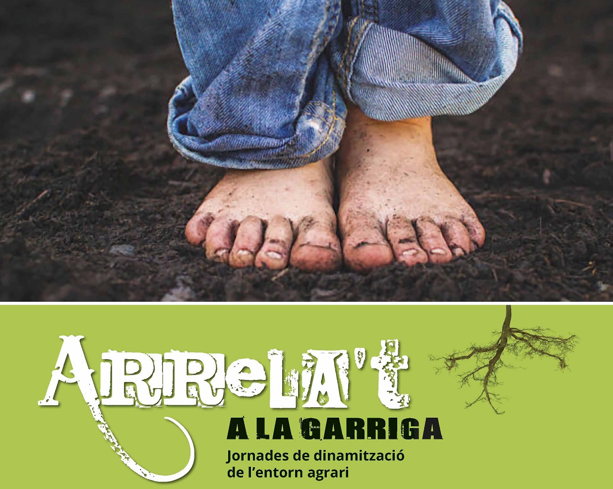 Propostes d'acció del projecte Arrela't