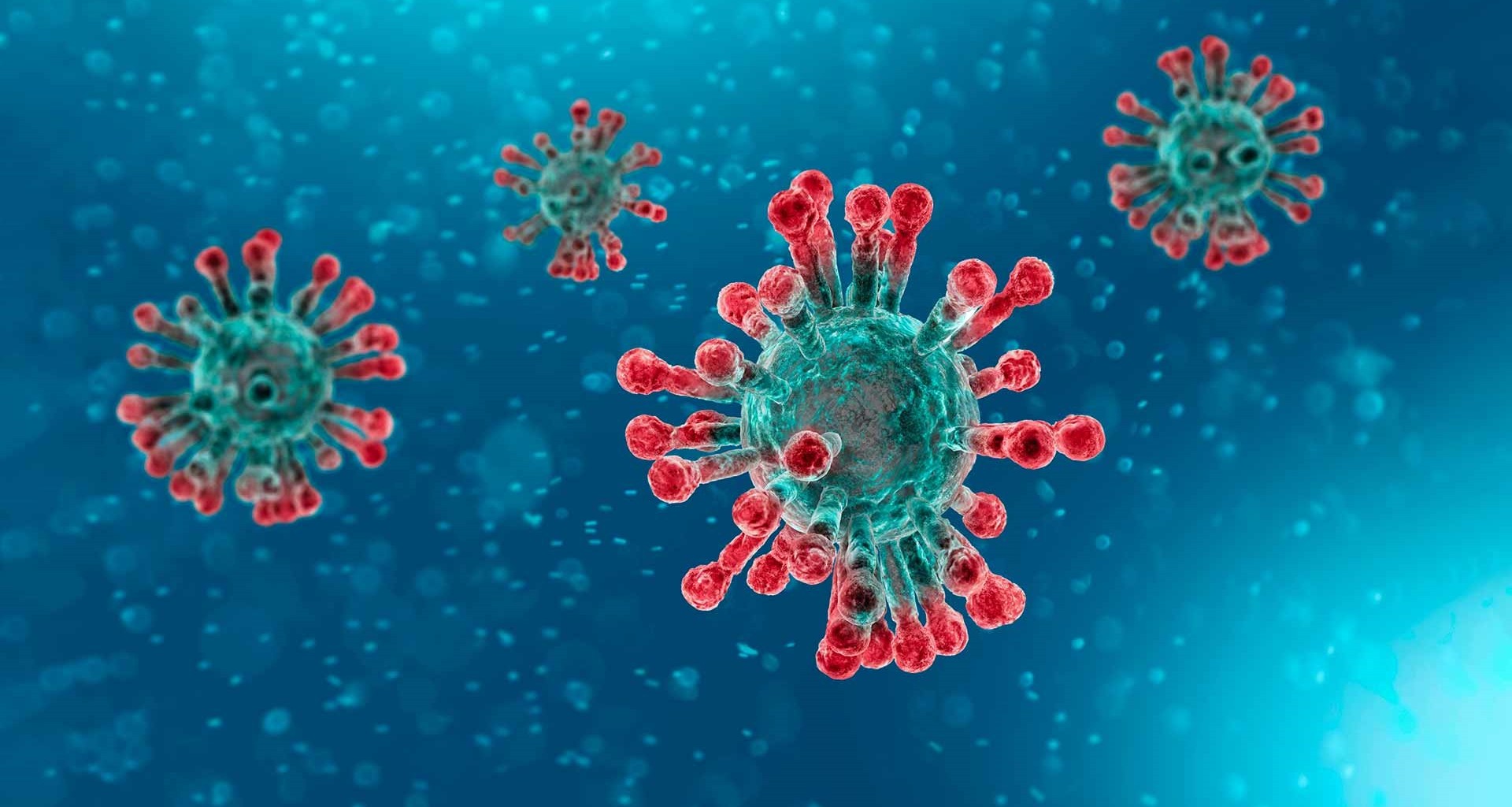 Informació sobre la crisi del Coronavirus