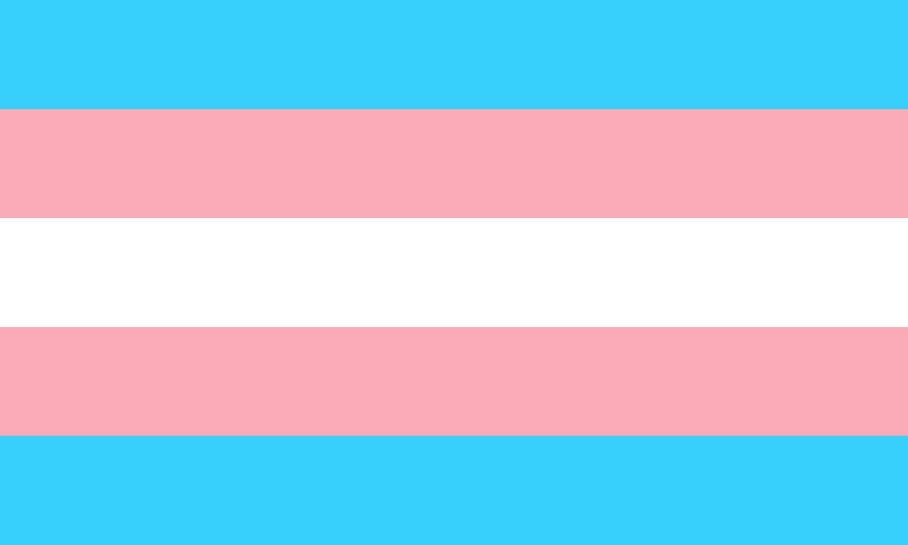 Bandera transgènere