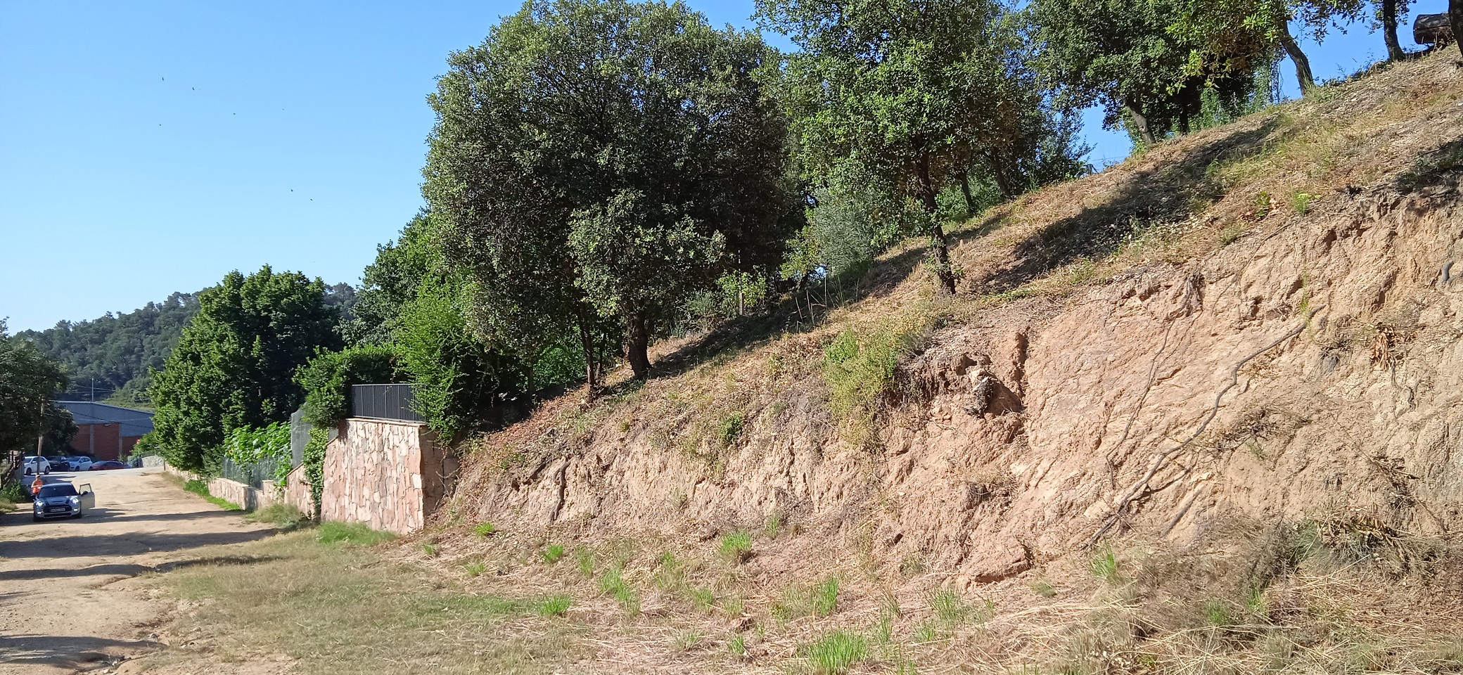 Manteniment de les franges de protecció d'incendis forestals