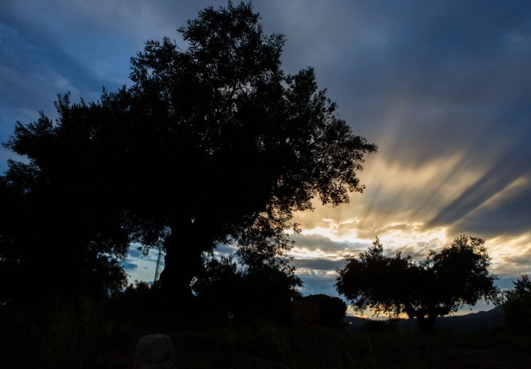 Als vespres d'estiu, descobreix la Garriga