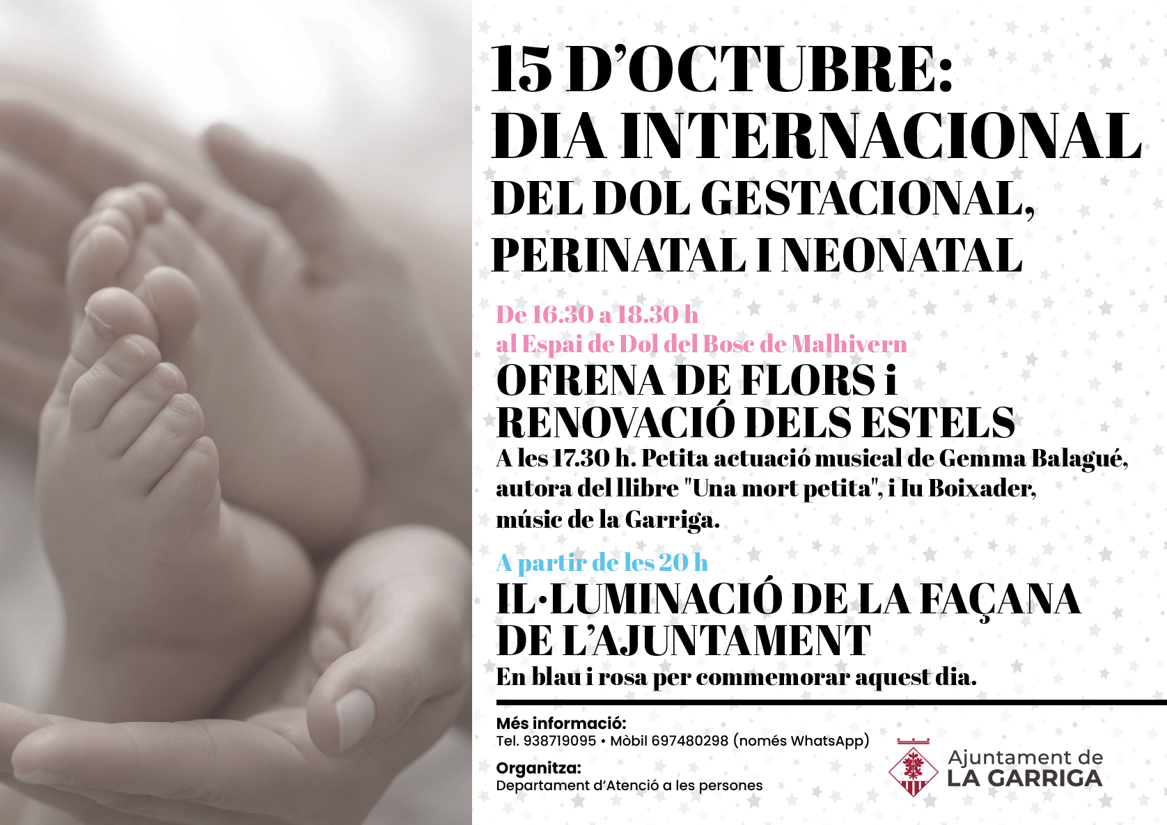 Dia del Dol Gestacional, Perinatal i Neonatal