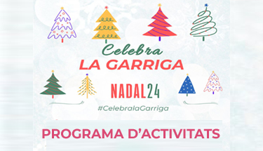 Programa d'activitats de Nadal