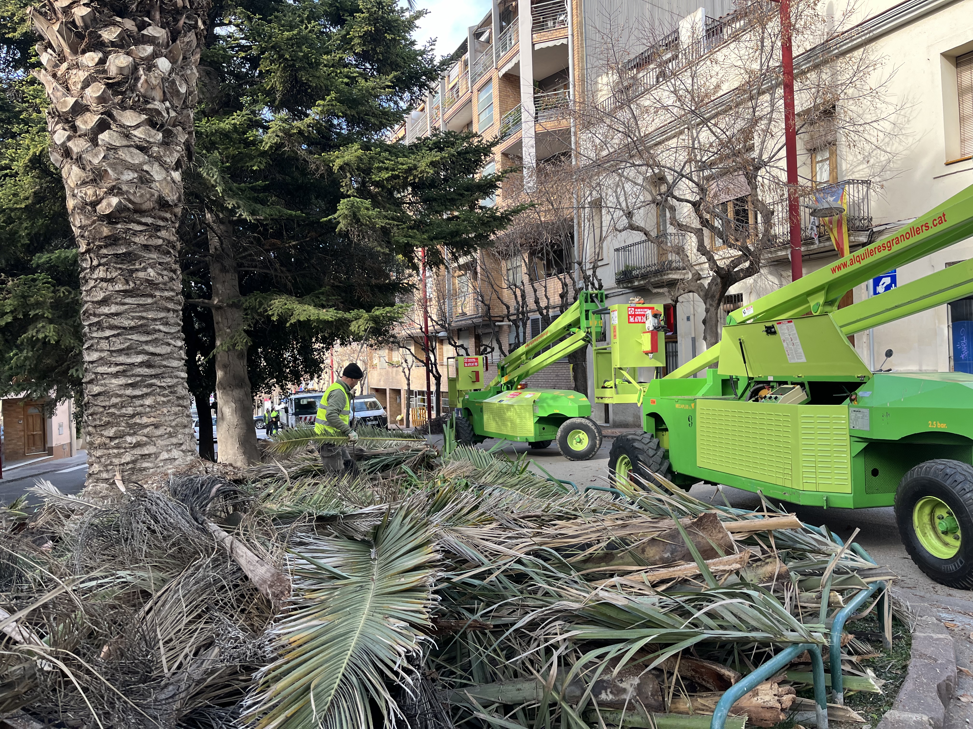 Campanya de poda d'hivern a la Garriga