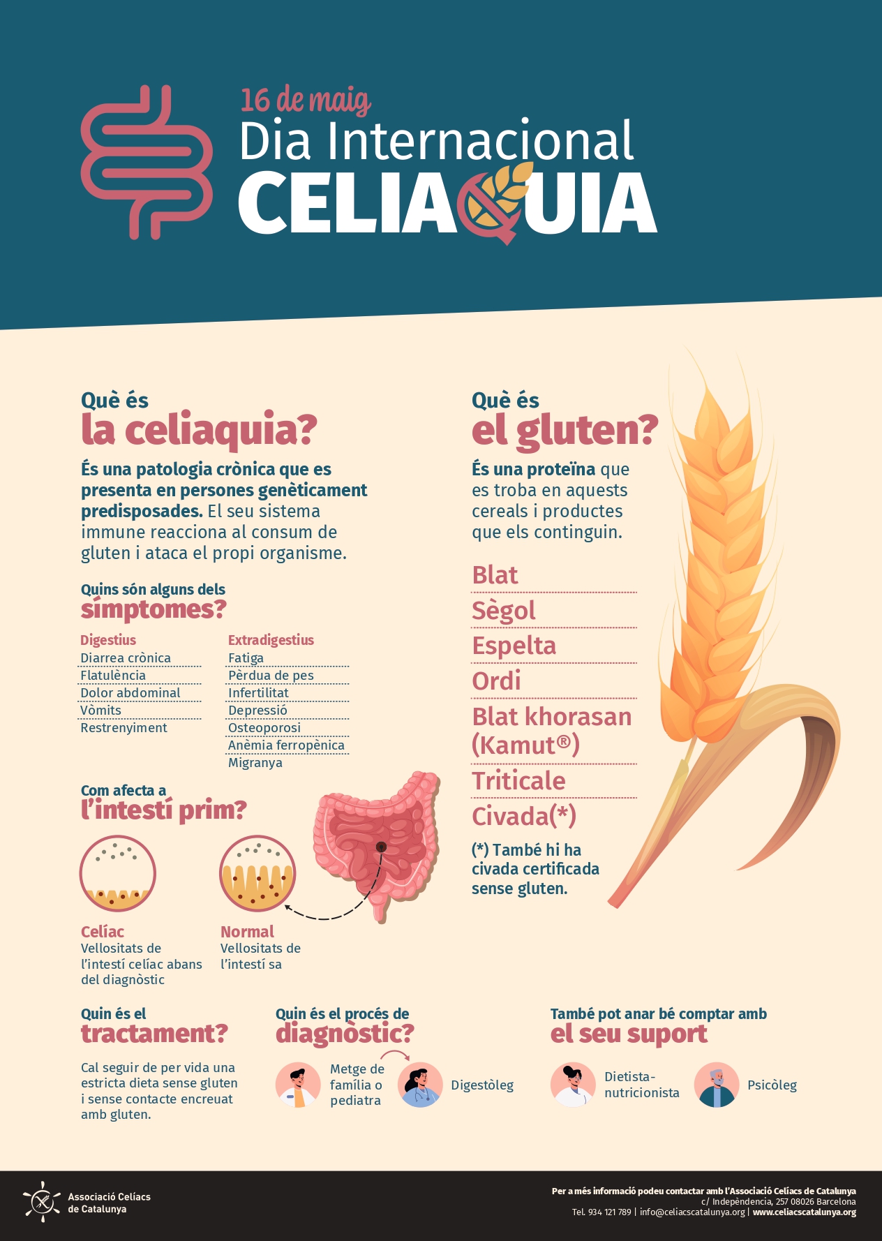 L'ajuntament s'il·lumina pel Dia Mundial de la Celiaquia