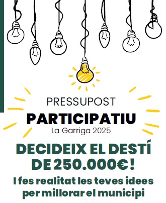 Taller Top 10! del Pressupost Participatiu 2025