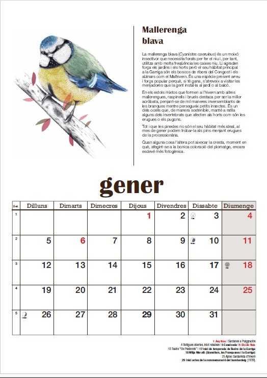 Un animal de la fauna de l'entorn garriguenc per a cada mes de l'any