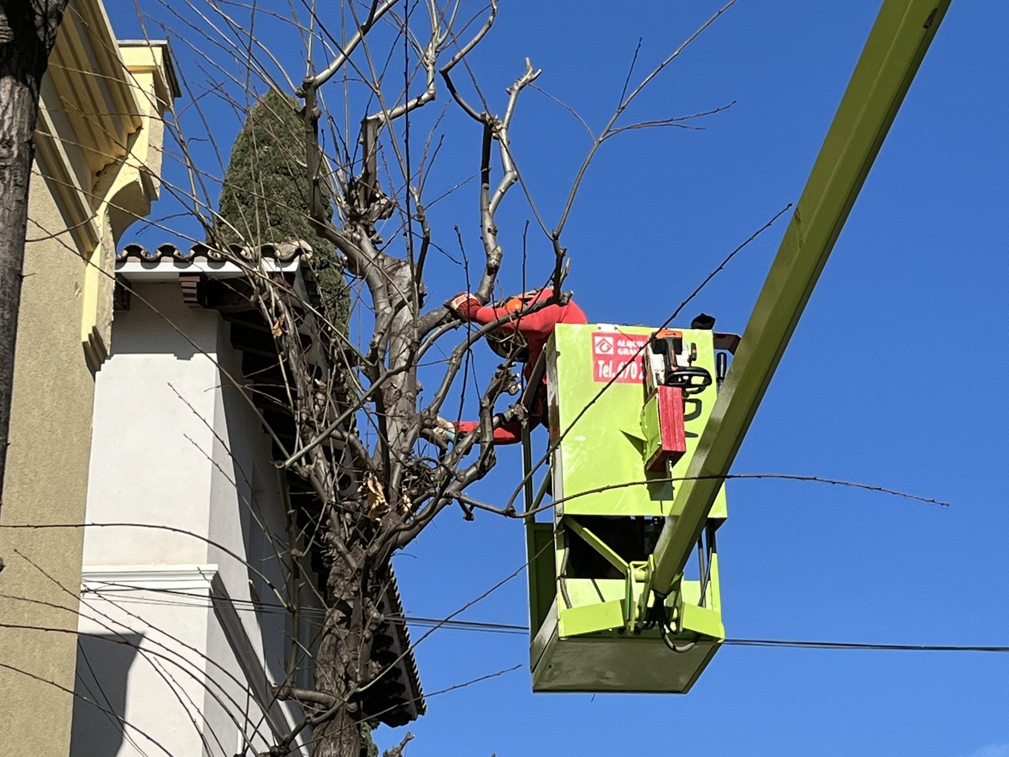 Campanya de poda d'hivern a la Garriga