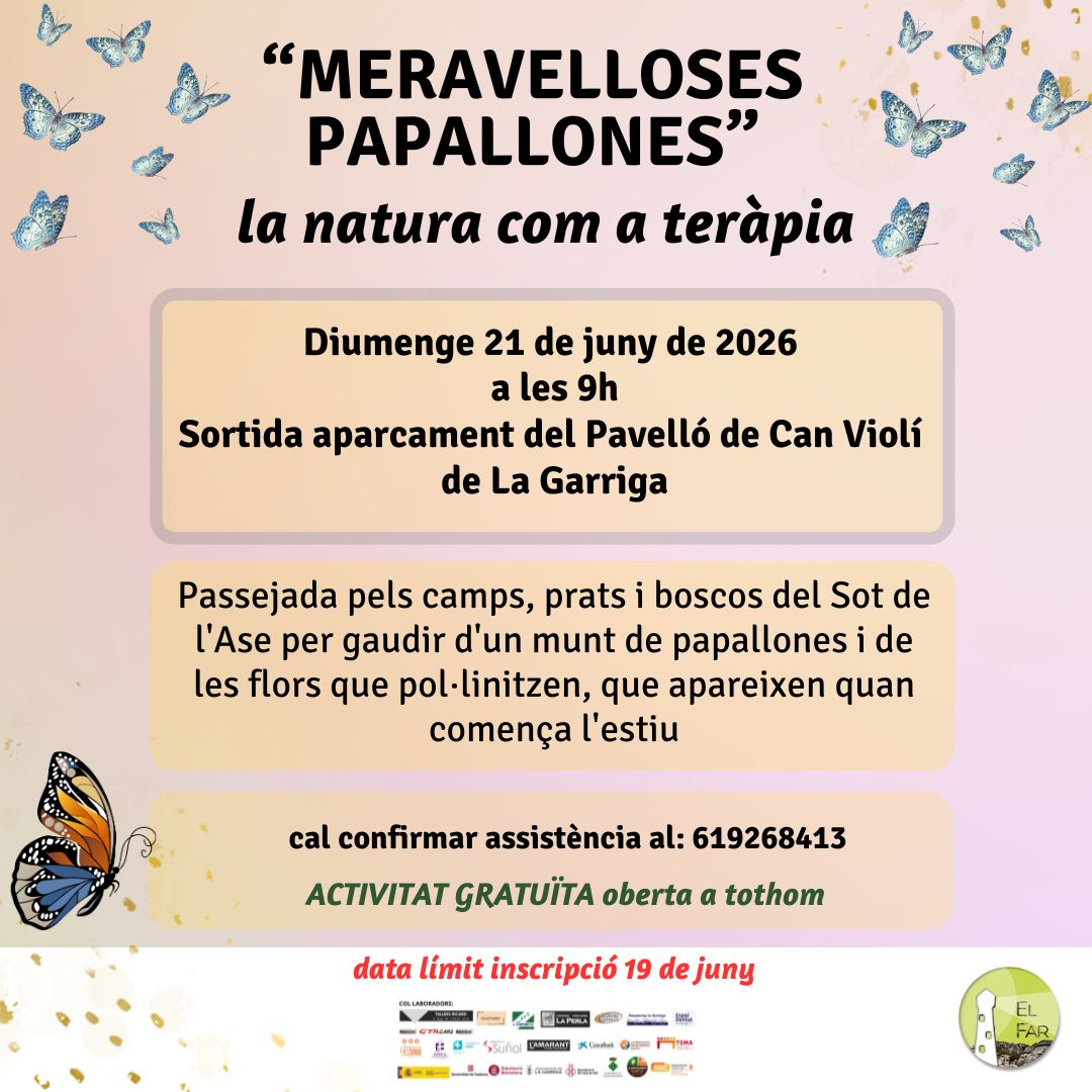 Meravelloses papallones