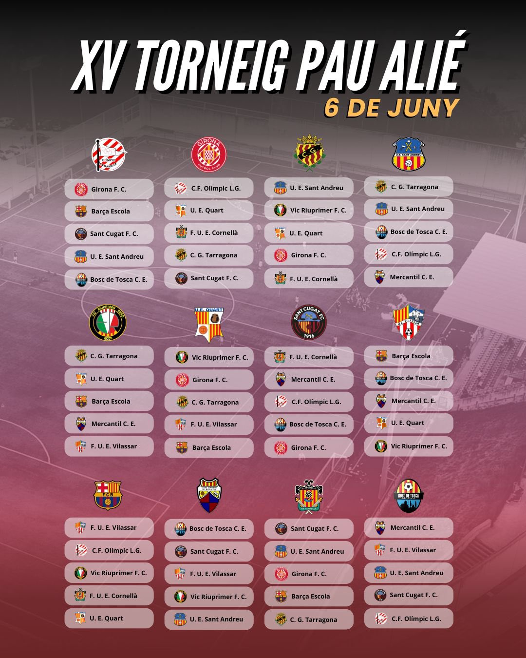 XV Torneig Pau Ali&eacute;