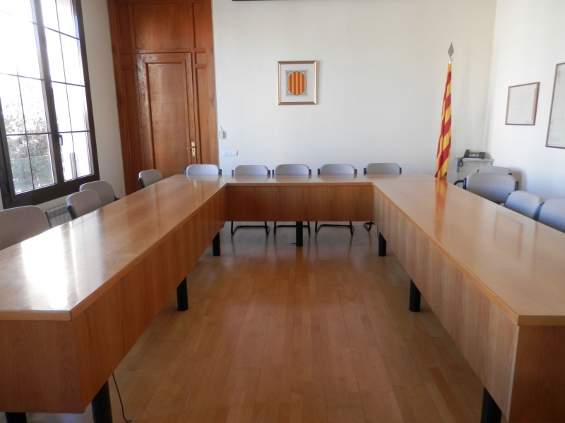 Dimecres 22, Ple municipal